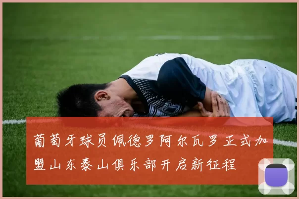 葡萄牙球员佩德罗阿尔瓦罗正式加盟山东泰山俱乐部开启新征程
