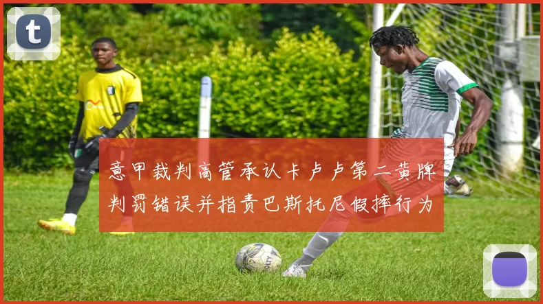 意甲裁判高管承认卡卢卢第二黄牌判罚错误并指责巴斯托尼假摔行为