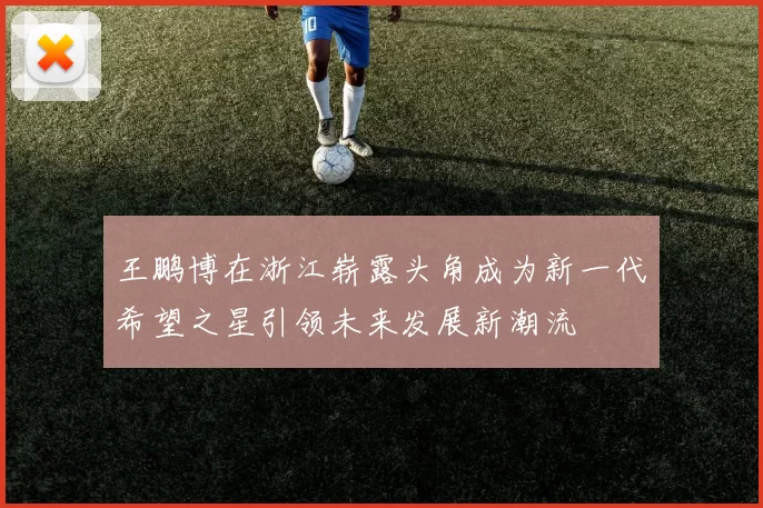 王鹏博在浙江崭露头角成为新一代希望之星引领未来发展新潮流