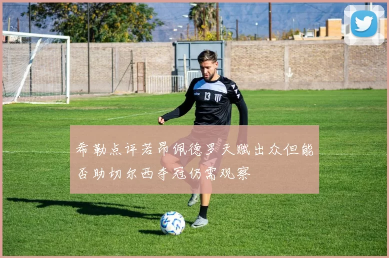 希勒点评若昂佩德罗天赋出众但能否助切尔西夺冠仍需观察